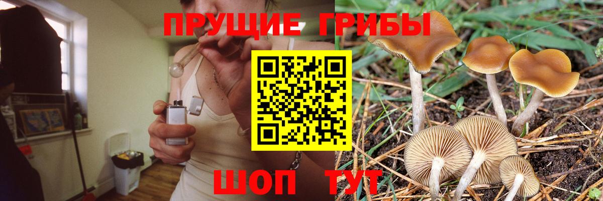 Североуральск  Галлюциногенные грибы ЛСД  Галлюциногенные грибы прущие грибы  дарнет шоп  Вход с VPN 