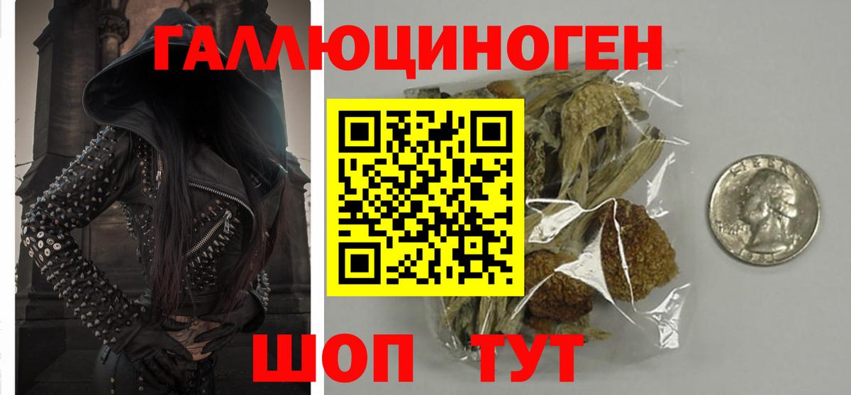 Галлюциногенные грибы Psilocybe Североуральск